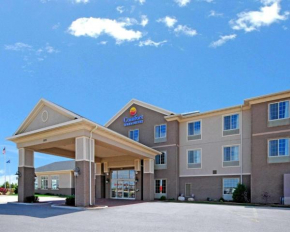 Отель Comfort Inn & Suites DeForest  Дефорест